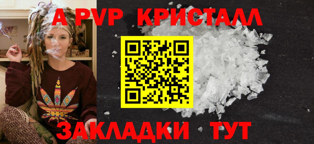 Альфа ПВП СК Новокубанск