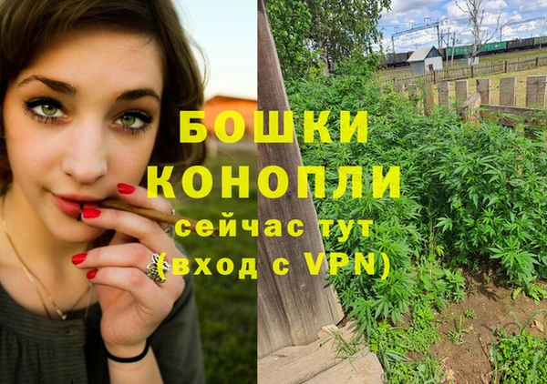 spice Елизово