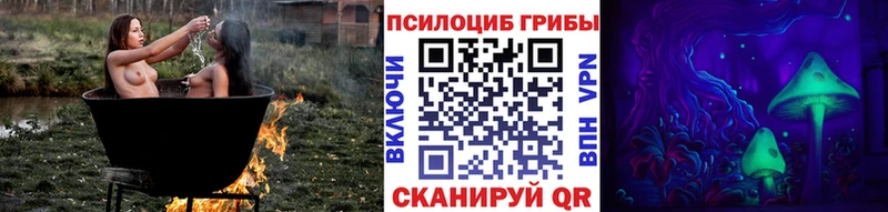 купить наркоту Новокубанск Галлюциногенные грибы MAGIC MUSHROOMS