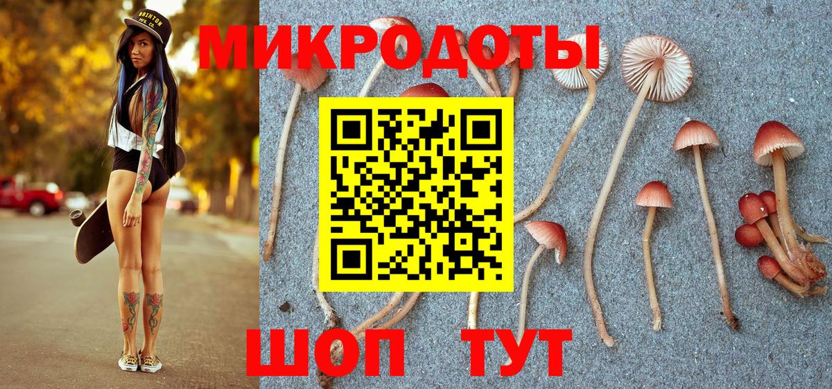Новокубанск  Псилоцибиновые грибы мицелий  Вход с VPN 