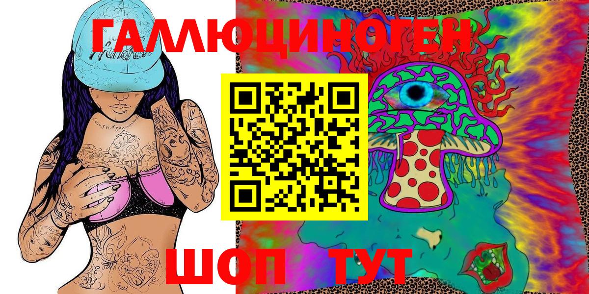 Галлюциногенные грибы Cubensis Новокубанск
