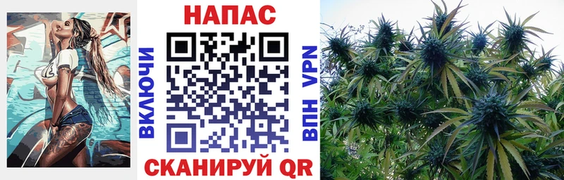 Марихуана Ganja закладки Новокубанск
